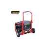 SUMEC FIRMAN Eco7990es 5Kva Key Start Generator 100% Copper
