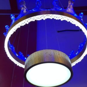 Dropping Pendant Wall Light