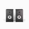 Black Spider BS-325 Full Range Passive Double Speaker – Blue